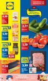 leaflet