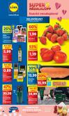 leaflet
