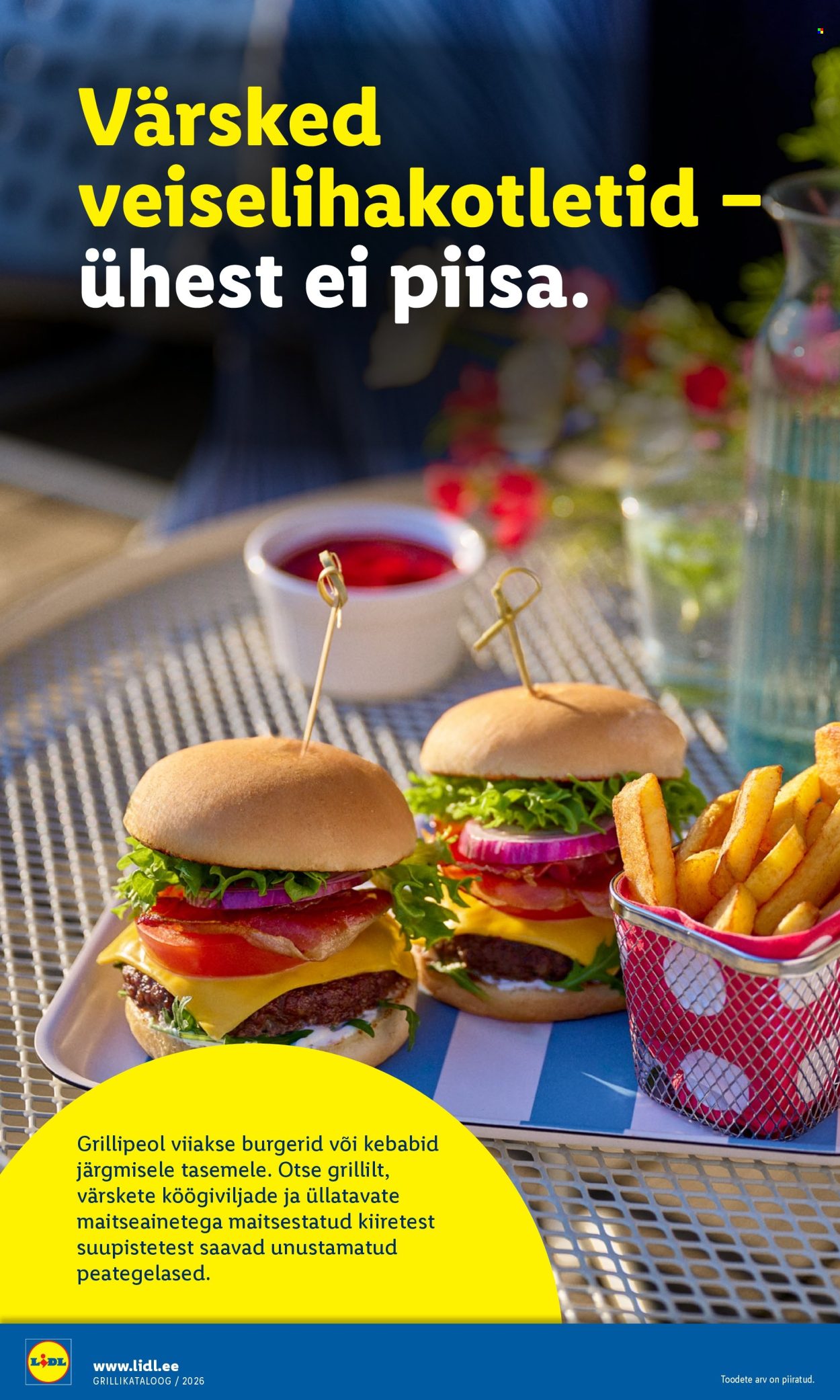 Lidl kliendileht. Lehekülg 12