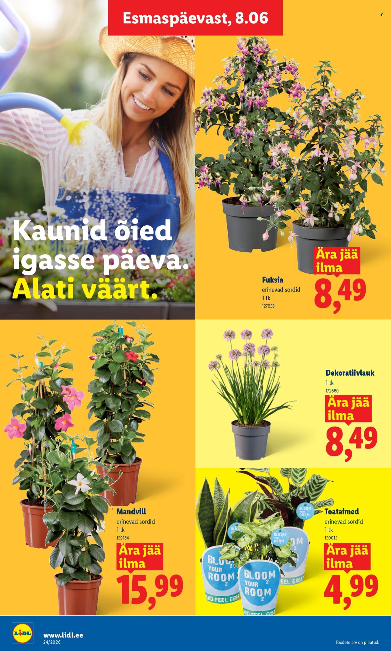Lidl kliendileht - 08.06.2026 - 14.06.2026. Lehekülg 8