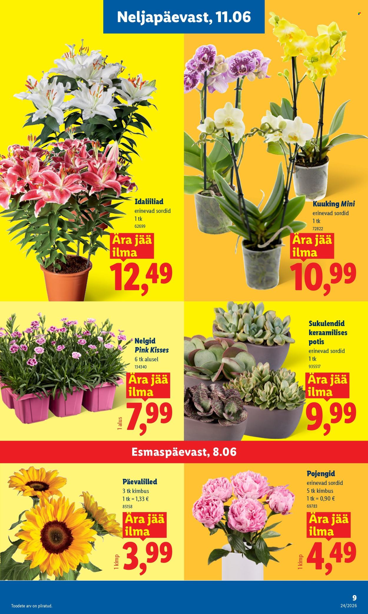 Lidl kliendileht - 08.06.2026 - 14.06.2026. Lehekülg 9
