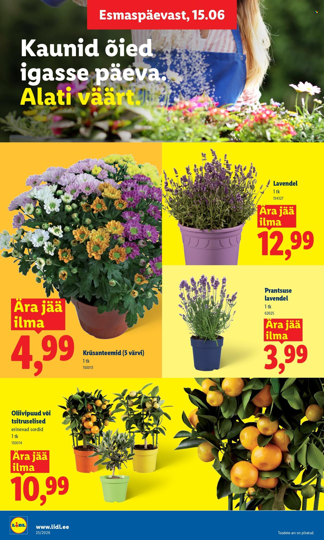 Lidl kliendileht - 15.06.2026 - 21.06.2026. Lehekülg 8