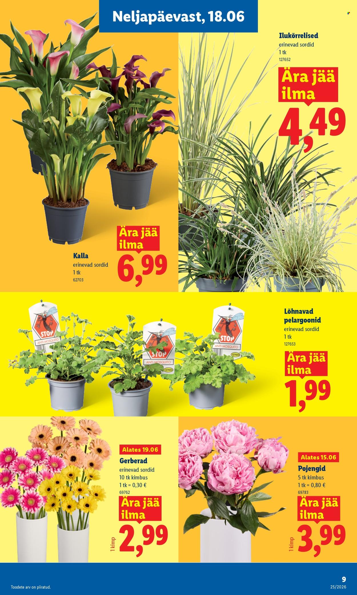 Lidl kliendileht - 15.06.2026 - 21.06.2026. Lehekülg 9