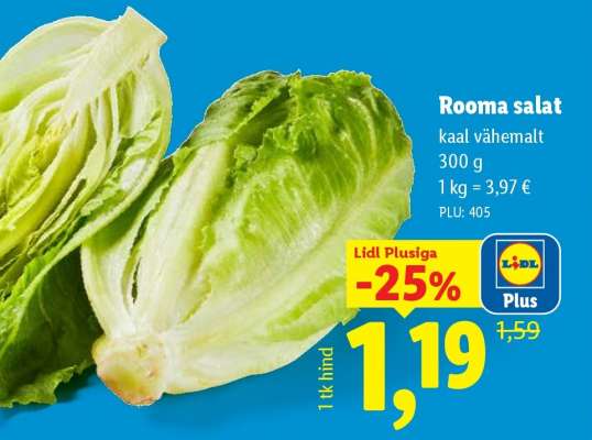 Rooma salat