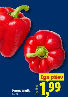 Punane paprika