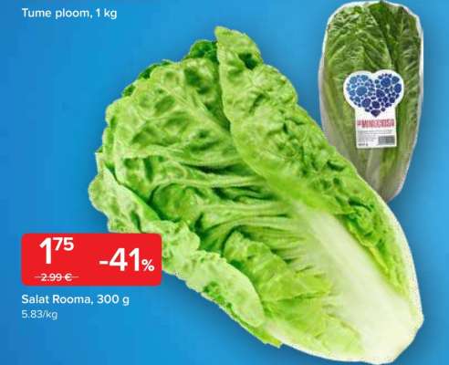 Salat Rooma