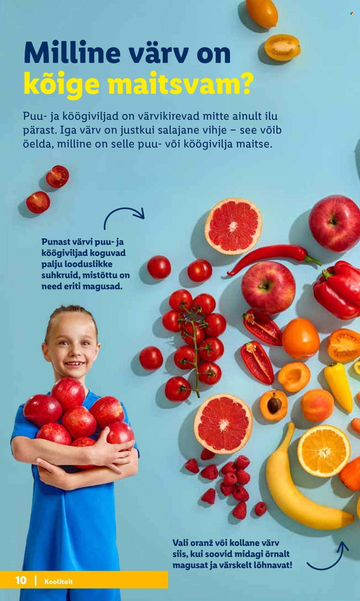 Lidl kliendileht. Lehekülg 10