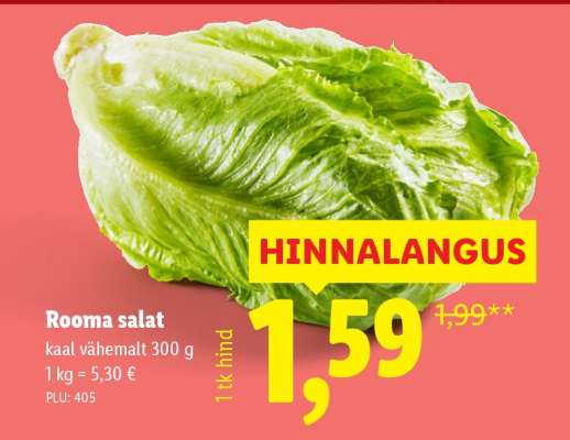 Rooma salat