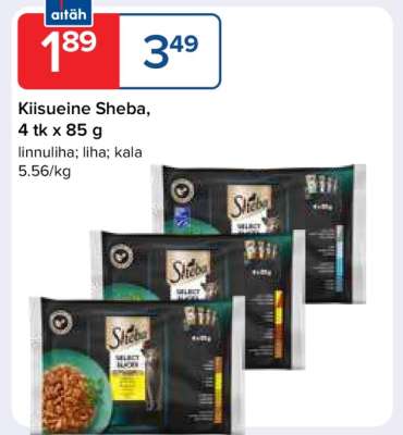 Kiisueine Sheba