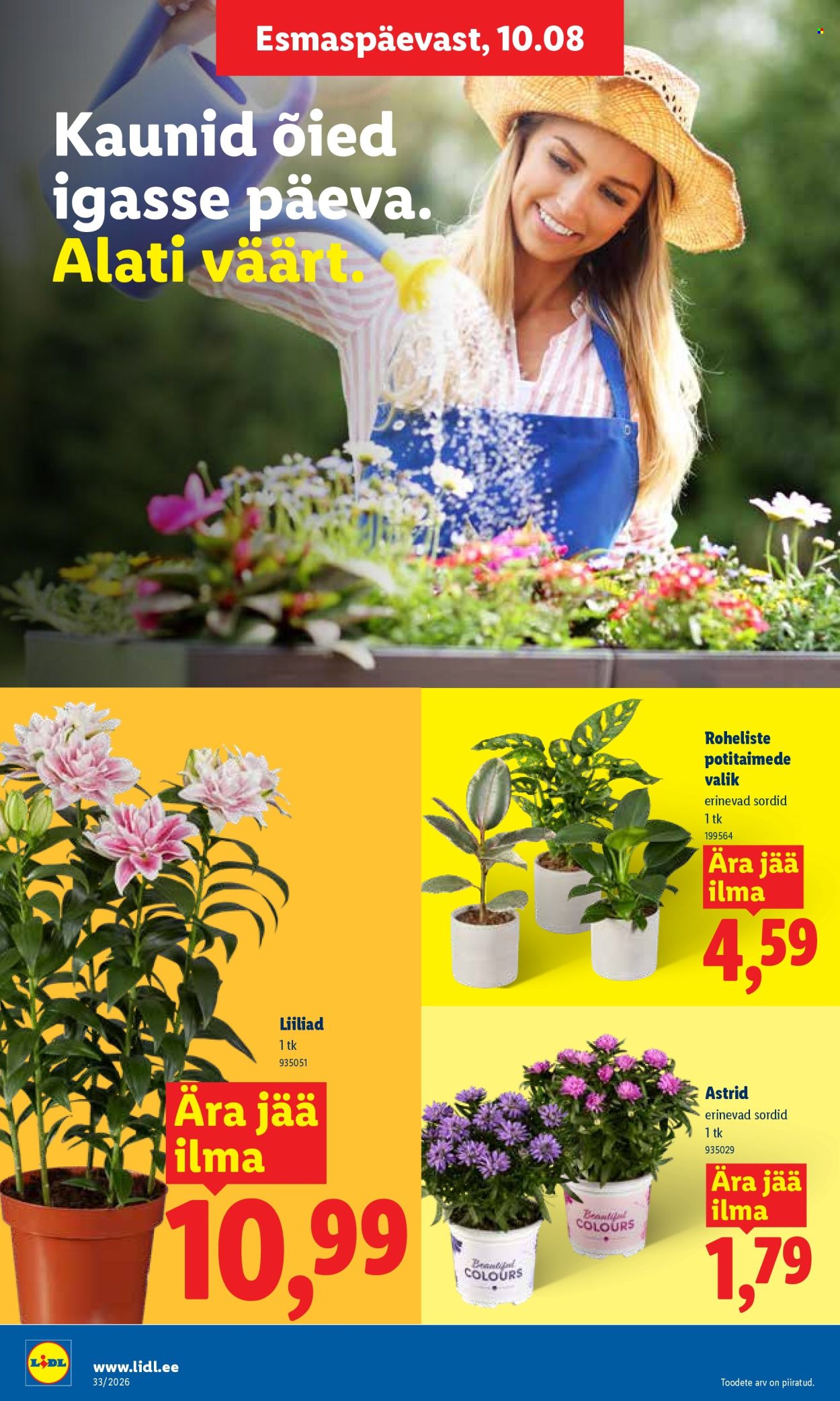 Lidl kliendileht - 10.08.2026 - 16.08.2026. Lehekülg 10