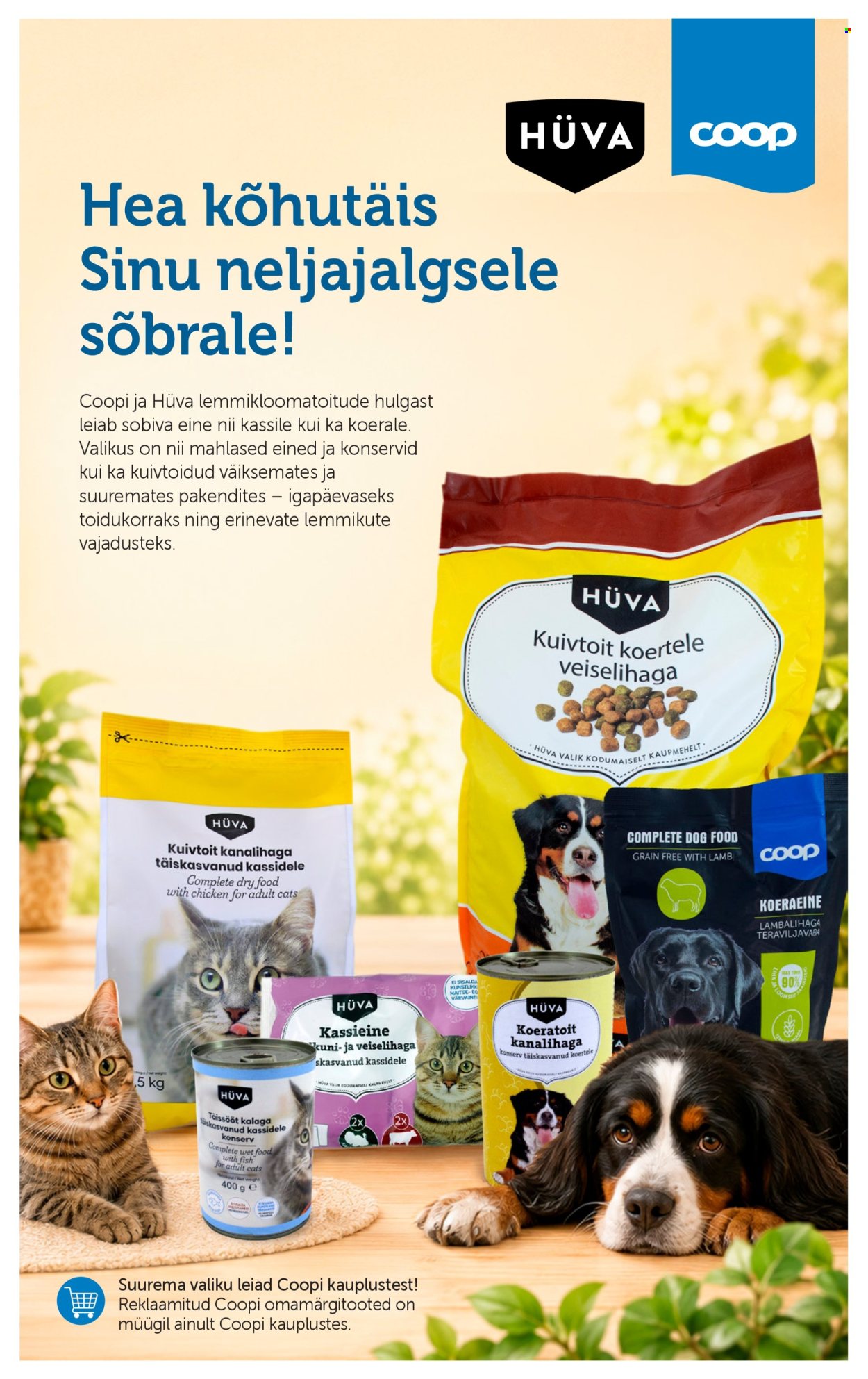 Coop kliendileht - 11.08.2026 - 17.08.2026. Lehekülg 11