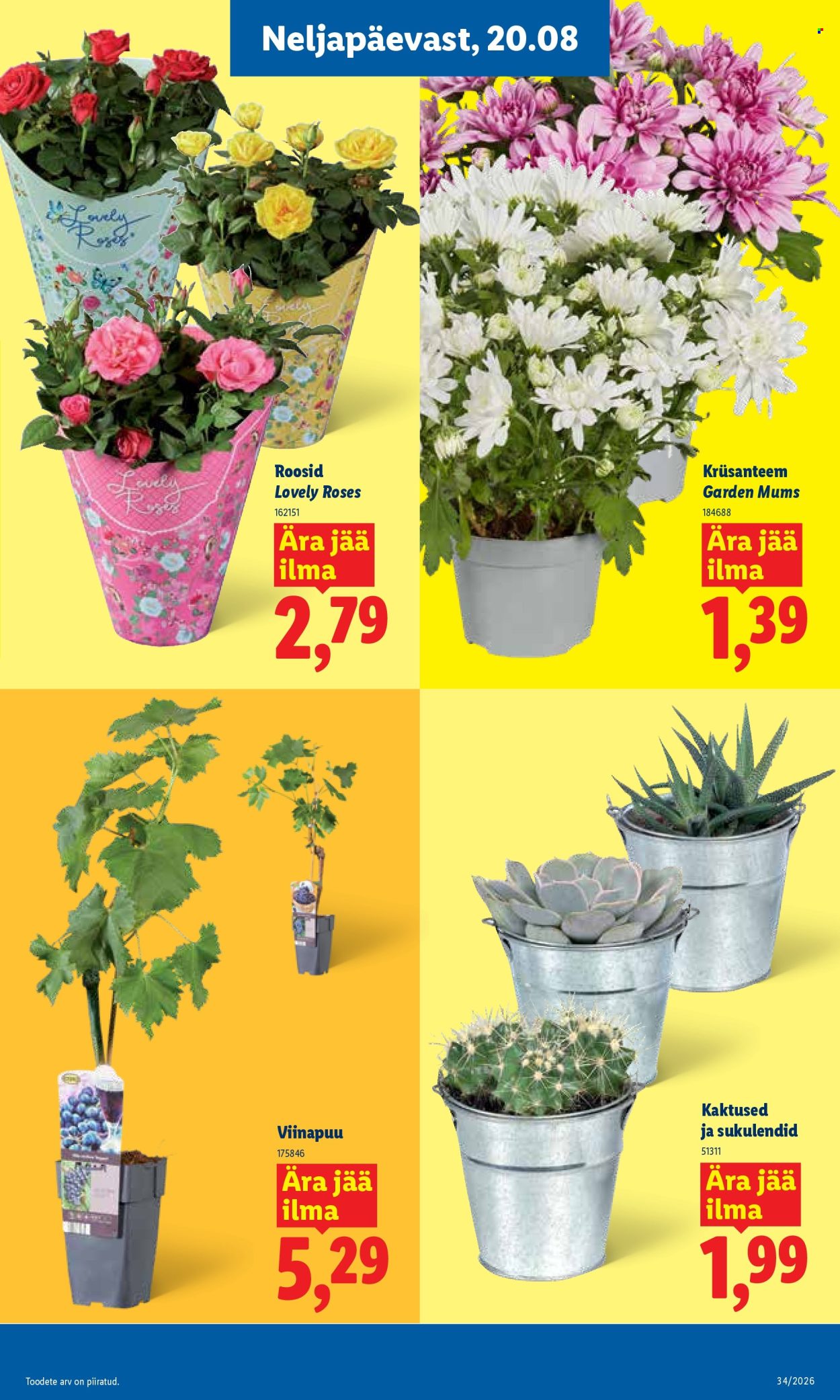 Lidl kliendileht - 17.08.2026 - 23.08.2026. Lehekülg 7