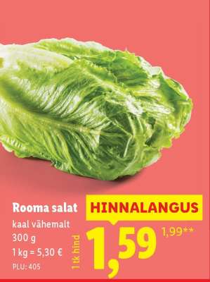 Rooma salat