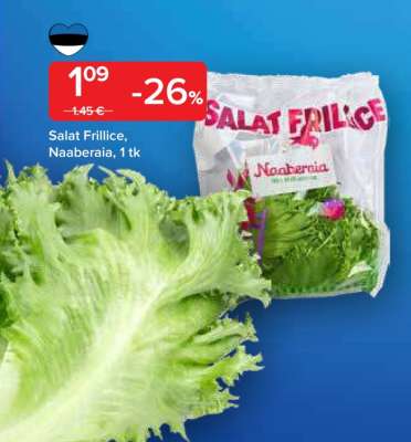 Salat Frillice