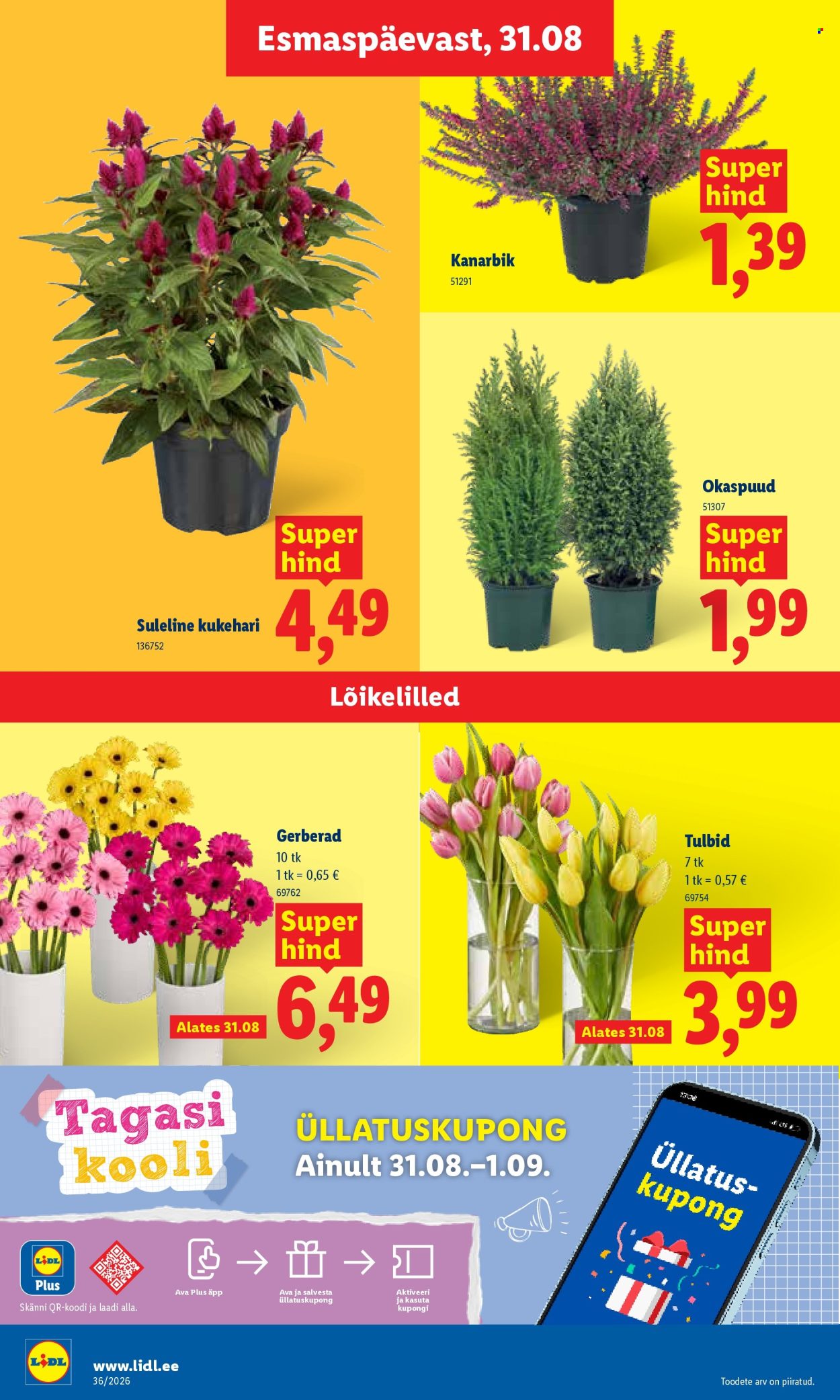 Lidl kliendileht - 31.08.2026 - 06.09.2026. Lehekülg 8