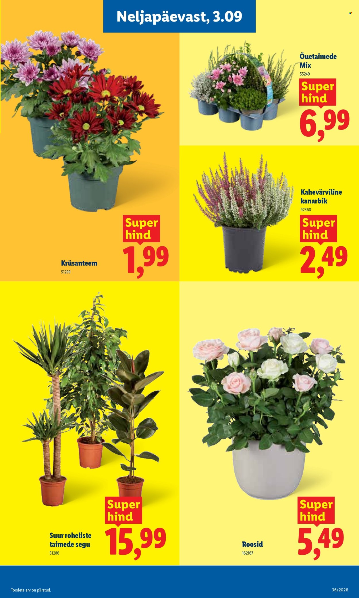 Lidl kliendileht - 31.08.2026 - 06.09.2026. Lehekülg 9