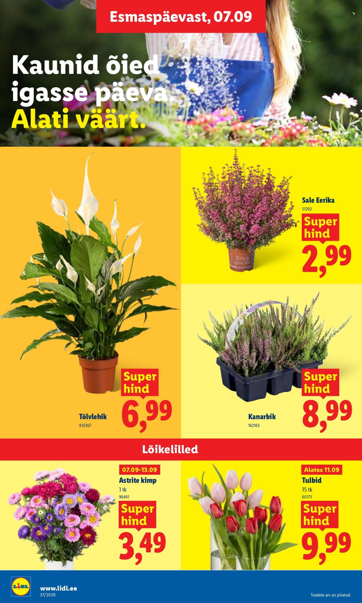Lidl kliendileht - 07.09.2026 - 13.09.2026. Lehekülg 22