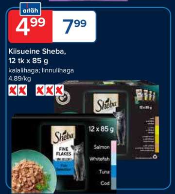 Kiisueine Sheba