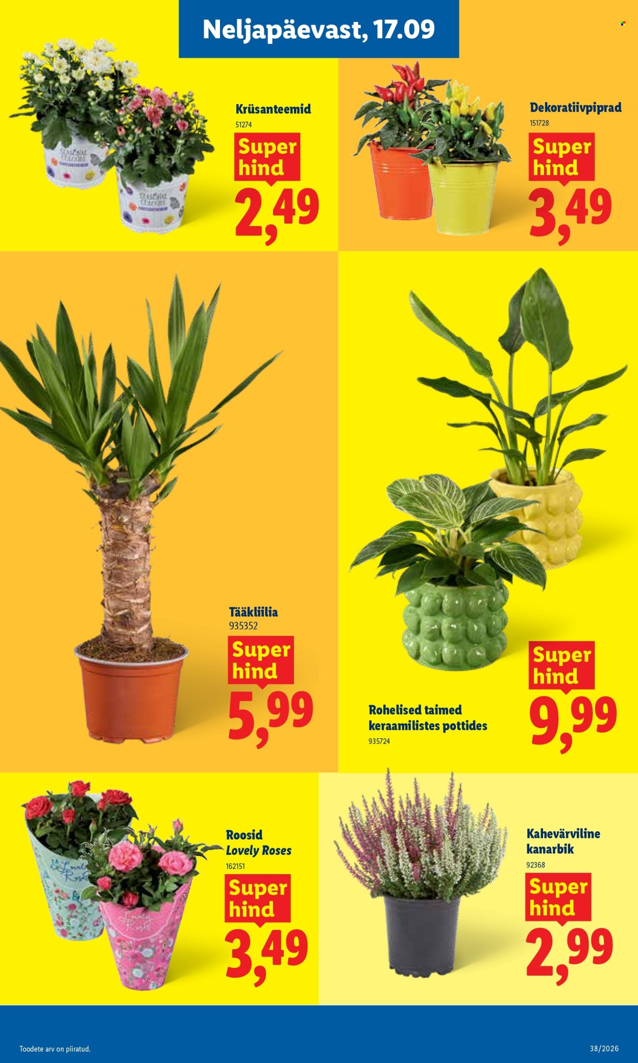 Lidl kliendileht - 14.09.2026 - 20.09.2026. Lehekülg 21
