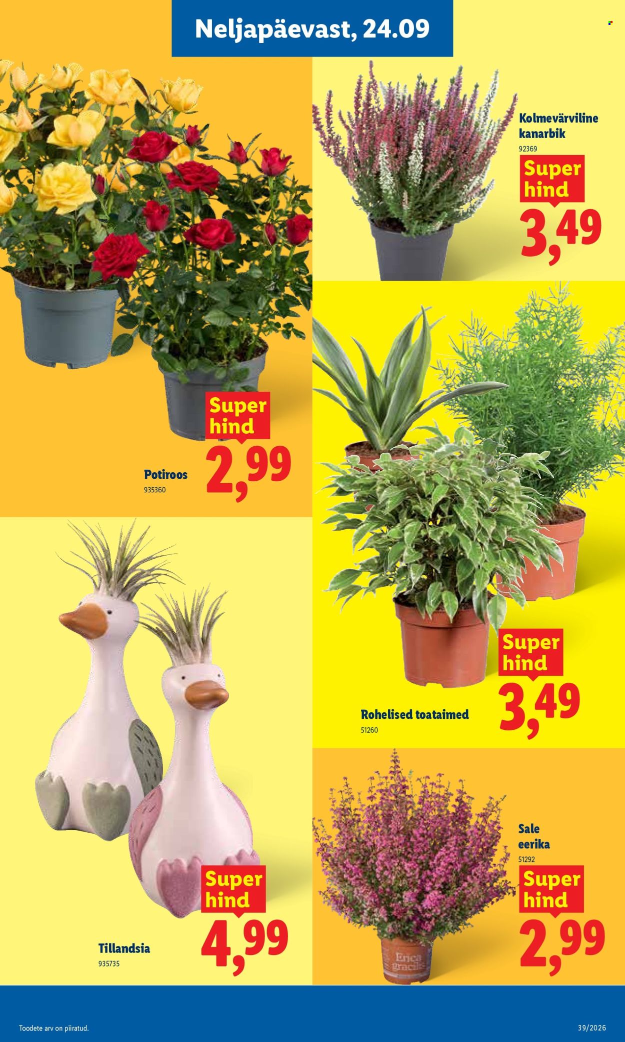 Lidl kliendileht - 21.09.2026 - 27.09.2026. Lehekülg 19
