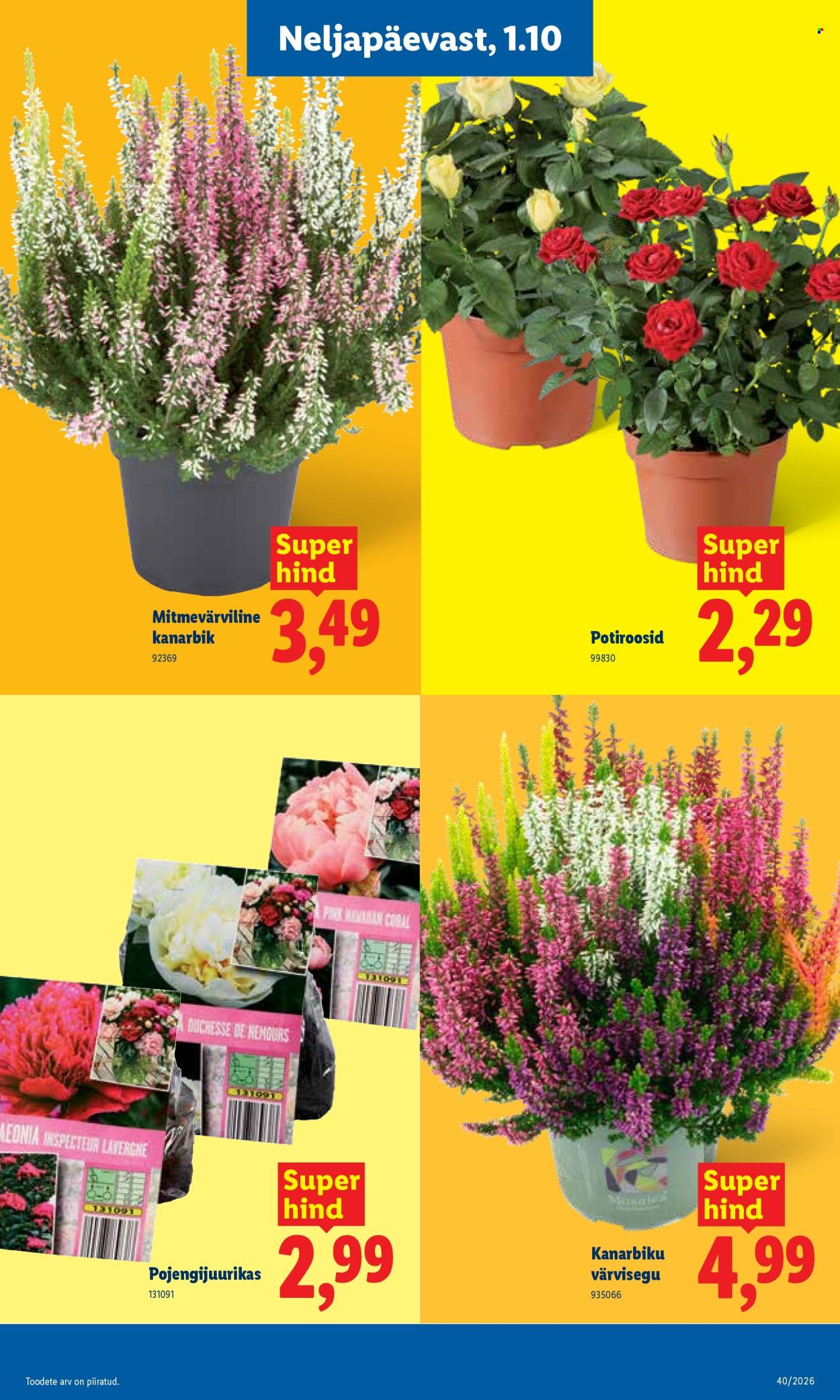 Lidl kliendileht - 28.09.2026 - 04.10.2026. Lehekülg 23