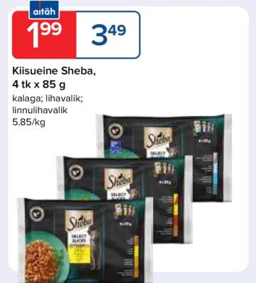 Kiisueine Sheba