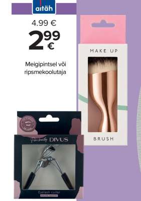 Meigipintsel või ripsmekoolutaja