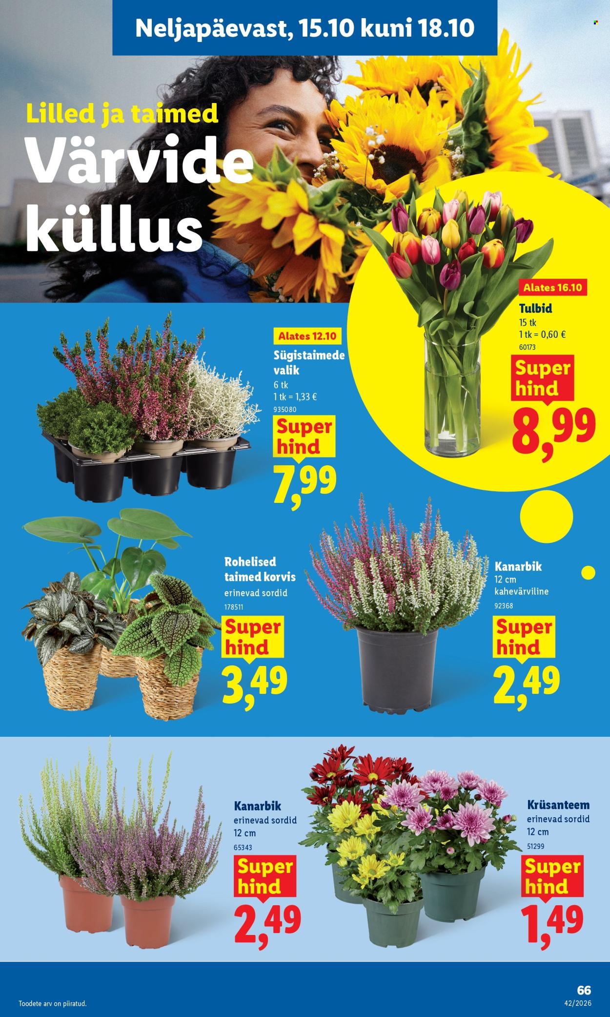 Lidl kliendileht - 12.10.2026 - 18.10.2026. Lehekülg 47