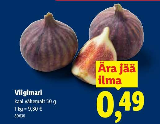 Viigimari