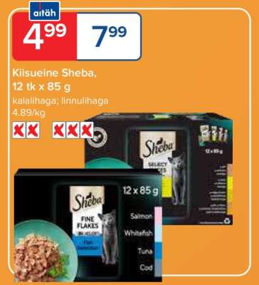Kiisueine Sheba